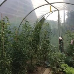 Serre de jardin essentielle Largeur 3 x 6 m*Les Serres Tonneau Clearance