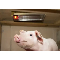 Système chauffant électrique pour élevage* Outlet