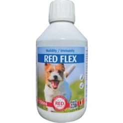 Traitement Rhumatisme Chien - Solution Anti-Inflammatoire Naturelle*Red Animals Outlet