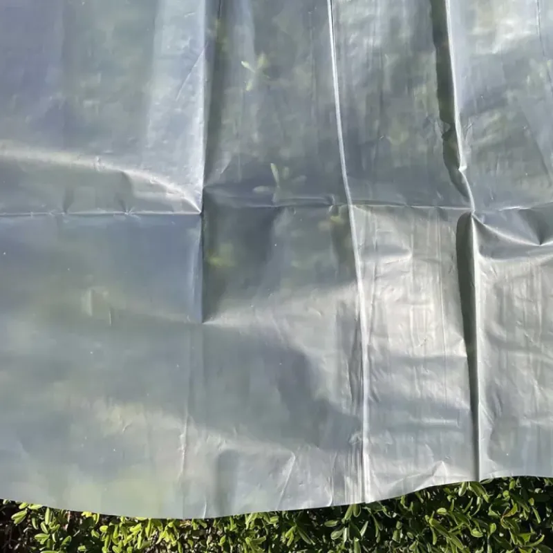 Voile de croissance semi-transparent 2,5x10m pour protection des cultures* Sale